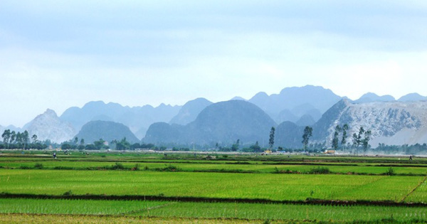 Thủ tục chuyển nhượng quyền sử dụng đất nông nghiệp
